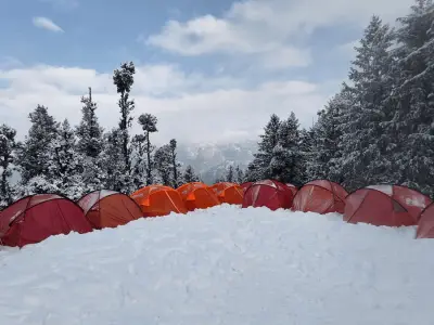 Galerie